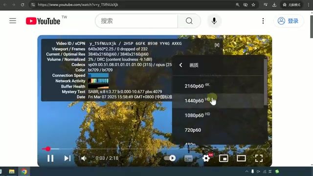 YouTube 4K 视频速度实测
